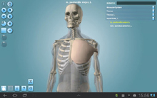 Anatomy 3D Pro (для Android)