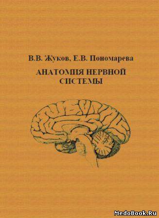 Анатомия нервной системы - Жуков В.В., Пономарёва Е.В.
